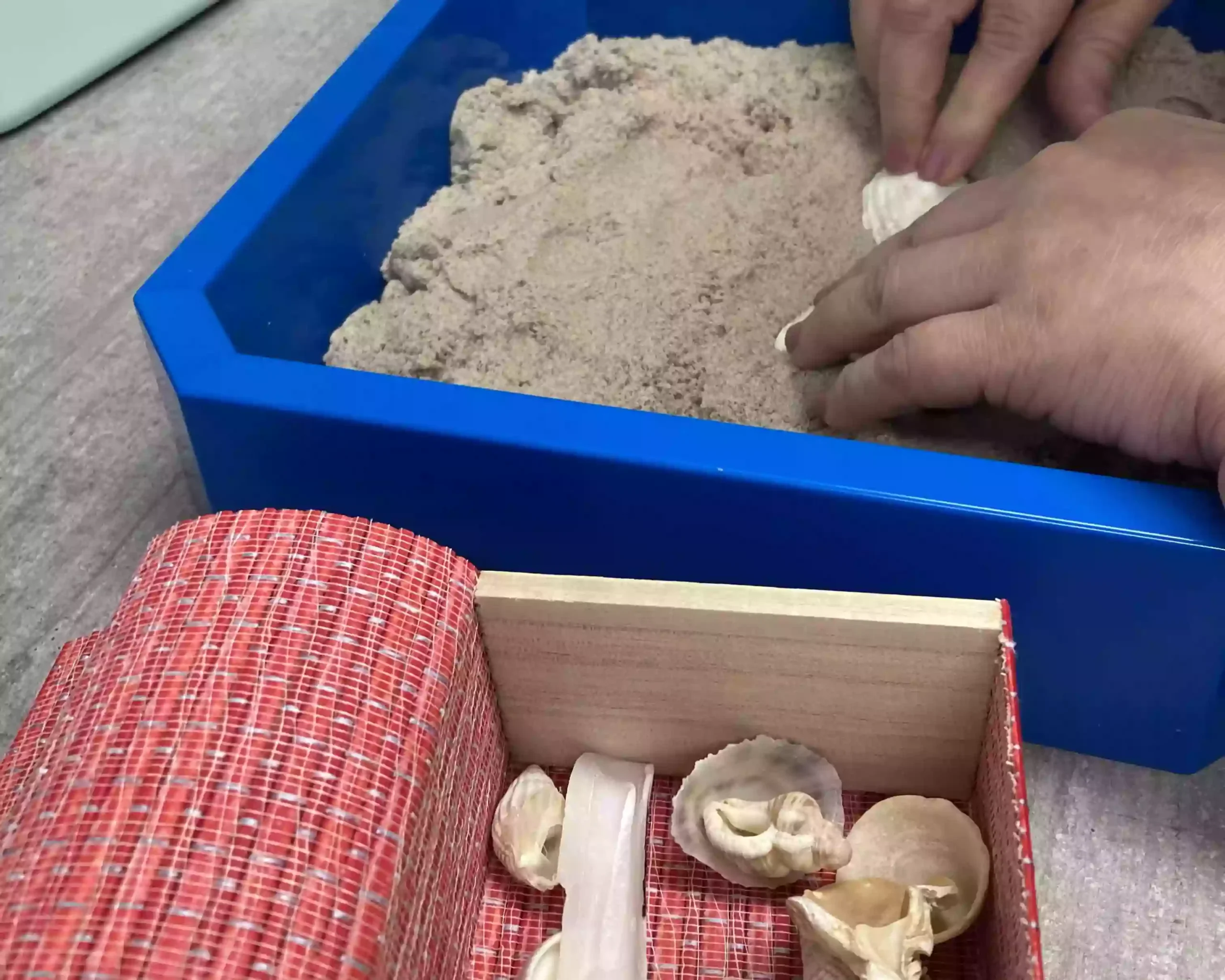 Les mains d'une personne sourdaveugle manipulent du sable et des coquillages lors d'une séance d'art-thérapie.